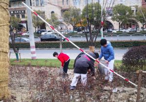 【道行武馆】兼爱【九里亭公益活动第二期公告】善待地球“益”起来 创建文明九亭 我们在行动