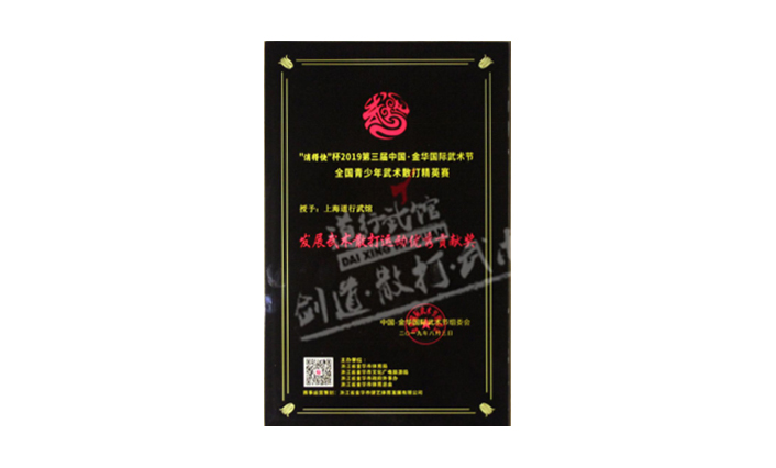 2019年全国青少年 散打邀请赛 发展武...