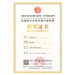 2019年浙江  全国青少年 散打精英赛 5金5银10铜 全国总分第六