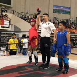 2019年山东   搏击精英 全国赛 获7金4银