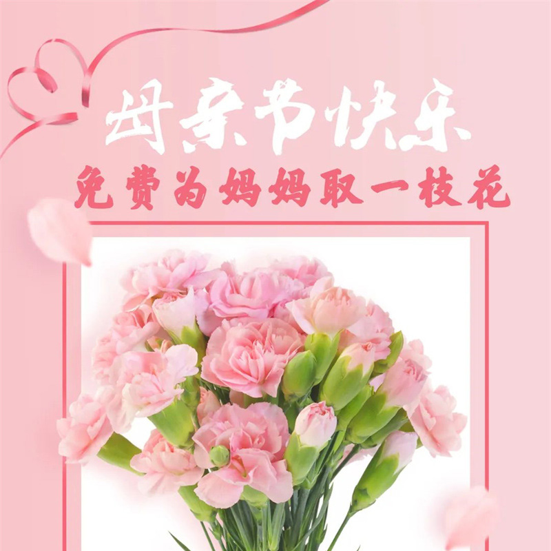 母亲节快乐！请来道行武馆免费领取康乃馨及贺卡